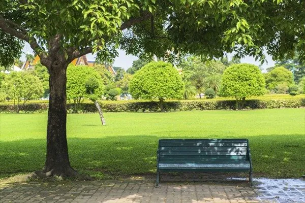 Sicurezza di parchi e giardini pubblici